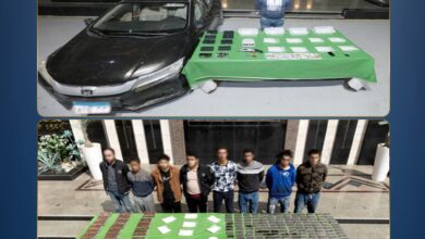 ضبط 600 كيلو مخدرات و161 سلاحًا بعدة محافظات