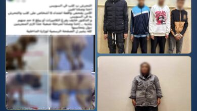 ضبط سيدة وراء نشر الادعاء الكاذب