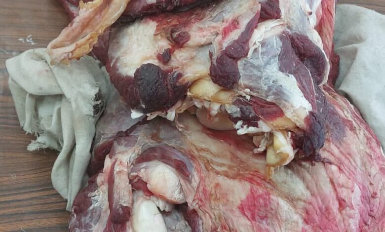 محافظ أسيوط ضبط لحوم فاسدة وتحرير 210 محاضر تموينية خلال حملات تموينية مكثفة