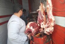 تموين المنيا يضبط 200 كجم فراخ فاسدة ويحرر 206 مخالفات خلال حملات مكثفة