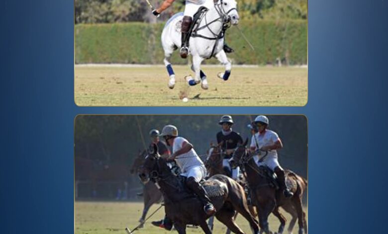 للعام الثاني على التوالي... الداخلية تحصد المركز الأول في بطولة الجمهورية للبولو