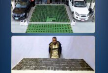 ضبط 800 كجم مخدرات و131 سلاحًا بقيمة 120 مليون جنيه