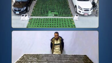 ضبط 800 كجم مخدرات و131 سلاحًا بقيمة 120 مليون جنيه