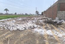 محافظ أسيوط: إزالة 8 حالات تعدٍ خلال إجازة العيد