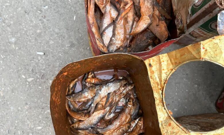محافظ أسيوط: ضبط 250 كجم أسماك فاسدة خلال حملات العيد