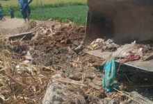 محافظ أسيوط: إزالة 13 حالة تعدي على أراضي زراعية ومتغيرات مكانية بعدد من المراكز