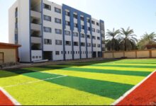 محافظ الوادي الجديد: استئناف الدراسة اليوم في 515 مدرسة