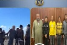 بسبب ممر أرض زراعية.. ضبط طرفي مشاجرة بالأسلحة البيضاء والنارية في كفر الشيخ.