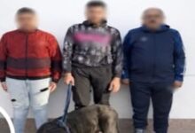 بسبب خلافات الجيرة.. سقوط "عامل ونجليه" استخدموا كلباً لترهيب سيدة ونجلها بالإسكندرية