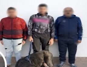 بسبب خلافات الجيرة.. سقوط "عامل ونجليه" استخدموا كلباً لترهيب سيدة ونجلها بالإسكندرية