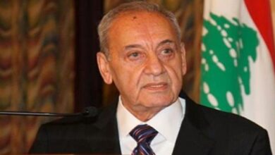 بري يطالب بتحرك دولي عاجل لوقف العدوان الإسرائيلي وتشكيل لجنة تقصي حقائق