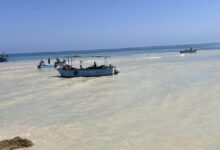 نهاية مأساوية بعد 4 أيام من البحث: العثور على جثمان طالب غرق بشاطئ العريش