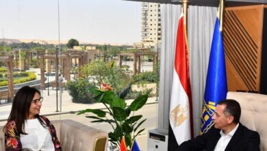 محافظ أسوان يستقبل وزيرة الثقافة