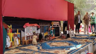 محافظ أسيوط: “الليلة الكبيرة” بالنخيلة نموذج ناجح لنشر الوعي بالقرى