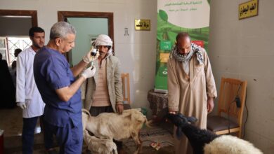 محافظ أسيوط: علاج 2328 حالة عبر قوافل بيطرية مجانية بالقرى خلال أسبوع
