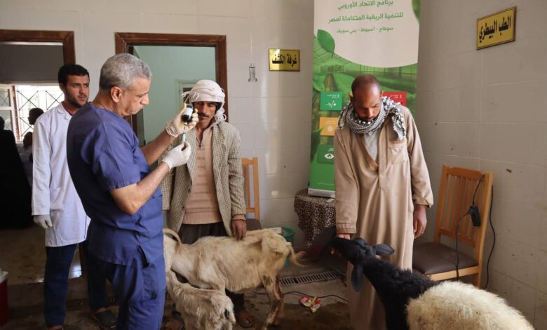 محافظ أسيوط: علاج 2328 حالة عبر قوافل بيطرية مجانية بالقرى خلال أسبوع