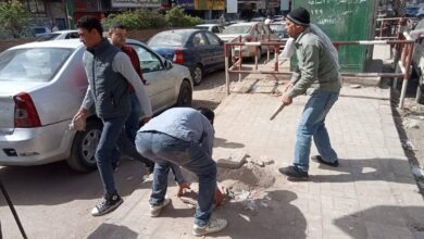 حملات مكثفة لرفع الإشغالات بشوارع حيوية في حي شرق أسيوط