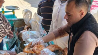 حملات تموينية بأسيوط تضبط أسماكًا فاسدة قبل شم النسيم