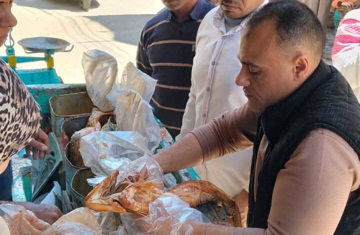 حملات تموينية بأسيوط تضبط أسماكًا فاسدة قبل شم النسيم