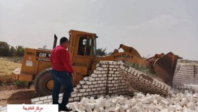 جهود مكثفة للوحدات المحلية بمراكز محافظة الوادي الجديد