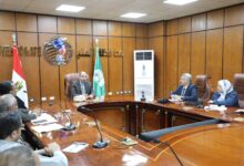 المنيا تبدأ موسم الذهب الأصفر بتوريد القمح.. واستعدادات مكثفة بـ42 موقعاً تخزينياً