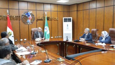 المنيا تبدأ موسم الذهب الأصفر بتوريد القمح.. واستعدادات مكثفة بـ42 موقعاً تخزينياً