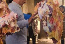 ضبط 277 كيلو لحوم ومنتجات غذائية خلال حملات رقابية مكثفة بالمنيا
