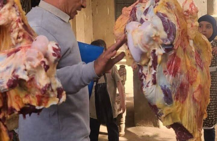 ضبط 277 كيلو لحوم ومنتجات غذائية خلال حملات رقابية مكثفة بالمنيا