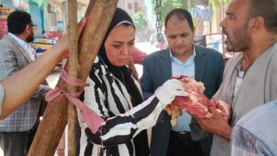 محافظ المنيا: ضبط طن ونصف لحوم فاسدة