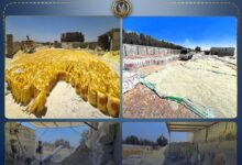 ضبط مصنع أسمدة مغشوشة بدون ترخيص بالبحيرة بحوزته 940 طن