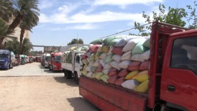 سوهاج: توريد أكثر من 20 ألف طن قمح