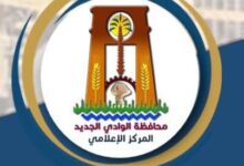 الوحدات المحلية بالوادي الجديد تواصل جهودها لرفع كفاءة المرافق