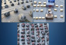 الداخلية توجه ضربة أمنية قوية لتشكيل عصابي شديد الخطورة بالسويس