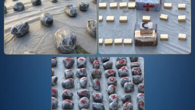 الداخلية توجه ضربة أمنية قوية لتشكيل عصابي شديد الخطورة بالسويس