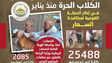 تحصين وتعقيم آلاف الكلاب ضمن حملة قومية لمكافحة السعار