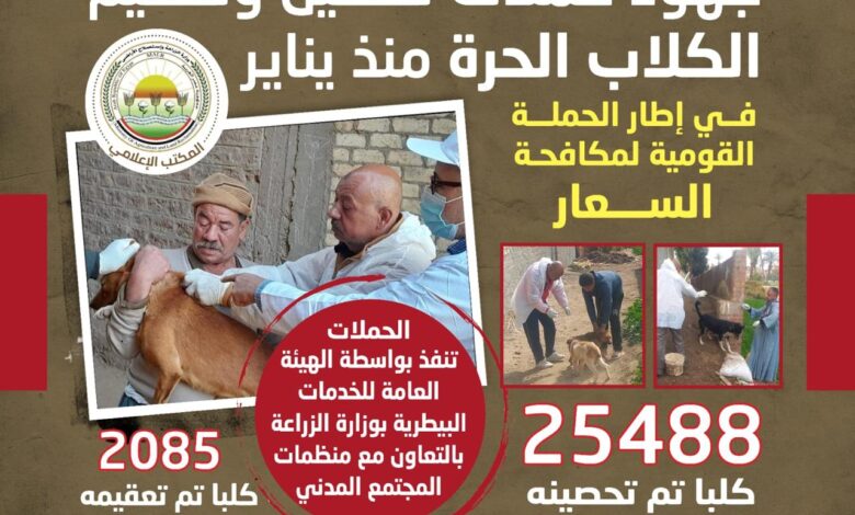 تحصين وتعقيم آلاف الكلاب ضمن حملة قومية لمكافحة السعار