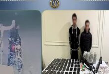 كشف ملابسات فيديو تعدٍ بدمياط.. وضبط المتهمين بحوزتهما مخدرات وأسلحة نارية