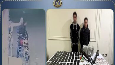 كشف ملابسات فيديو تعدٍ بدمياط.. وضبط المتهمين بحوزتهما مخدرات وأسلحة نارية