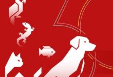 أكبر معرض للحيوانات الأليفة في الصين نوفمبر المقبل 