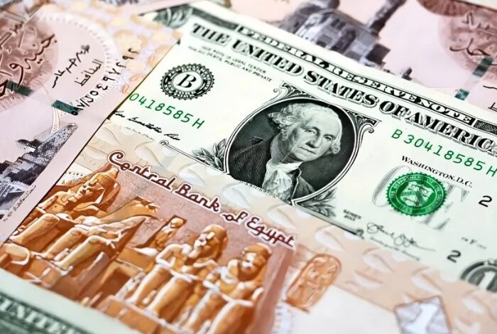 سعر الدولار أمام الجنيه اليوم الأحد 31 مايو