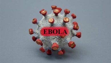 مدير الصحة العالمية يصل إلى بؤرة تفشي إيبولا شرق الكونغو وسط تصاعد الإصابات