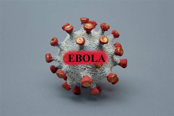 مدير الصحة العالمية يصل إلى بؤرة تفشي إيبولا شرق الكونغو وسط تصاعد الإصابات