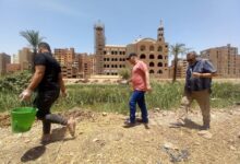 محافظ أسيوط: انطلاق الحملة القومية لمكافحة القوارض بالقرى والنجوع