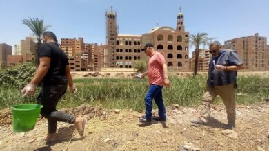 محافظ أسيوط: انطلاق الحملة القومية لمكافحة القوارض بالقرى والنجوع