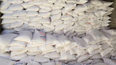 محافظ أسيوط ضبط 20 طن ملح مجهول المصدر خلال حملة رقابية بمنفلوط