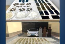 ضربة أمنية قاصمة تسقط أباطرة الكيف والسلاح وتضبط مخدرات بـ111 مليون جنيه