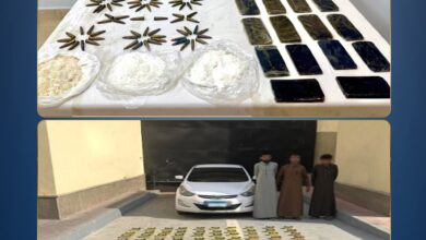 ضربة أمنية قاصمة تسقط أباطرة الكيف والسلاح وتضبط مخدرات بـ111 مليون جنيه