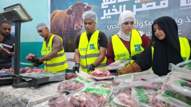 محافظ أسيوط: ذبح وتوزيع لحوم 42 عجلًا لدعم الأسر الأولى بالرعاية في عيد الأضحى