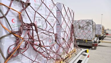بدعم وكالة الإمارات للمساعدات: وصول 100 طن مساعدات إنسانية إلى العريش استعدادًا لنقلها إلى غزة