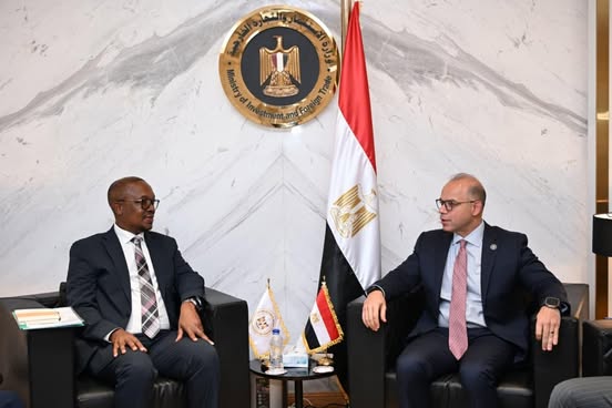 مصر وجنوب إفريقيا تطلقان مسارًا سريعًا لاعتماد الأدوية وتنشيط التجارة